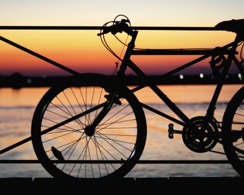 silhouette of park bicycle near body of water